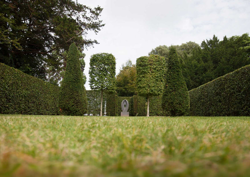 91681 Natur - Garten