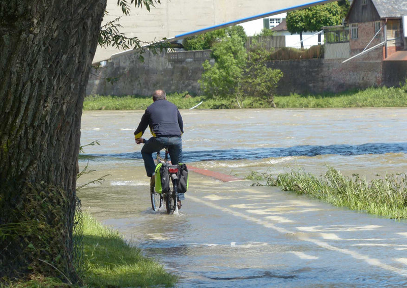 89982 Fortbewegung - Radfahrer