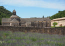 66930 Religion - Abbaye de Sénanque