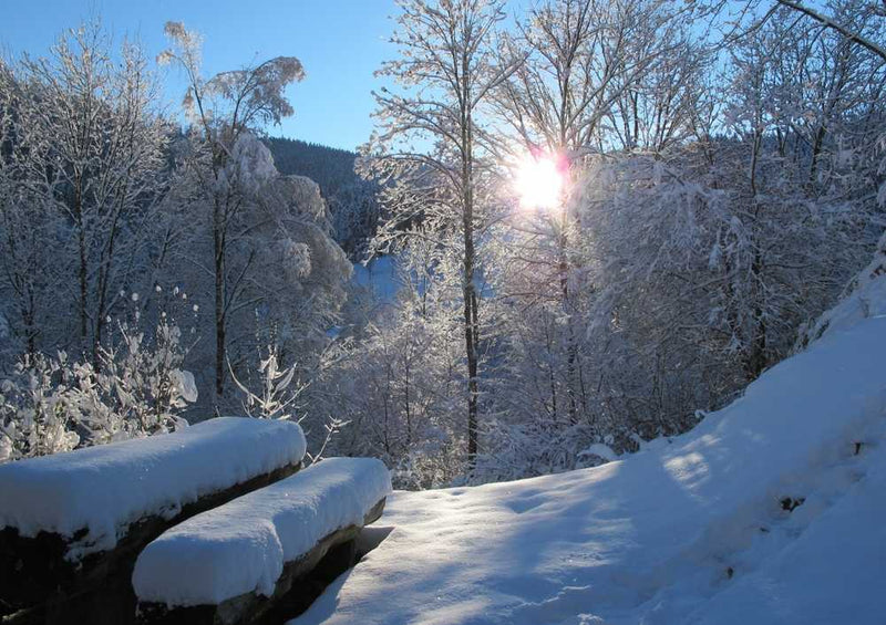 46670 Natur - Winterlich Puzzle
