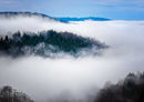 49659 Natur - Nebel Puzzle