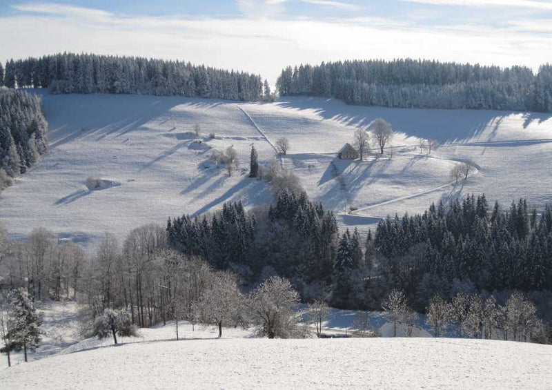 49218 Natur - Schneelandschaft Puzzle