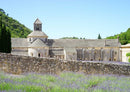 63428 Natur - Abbaye de Sénanque