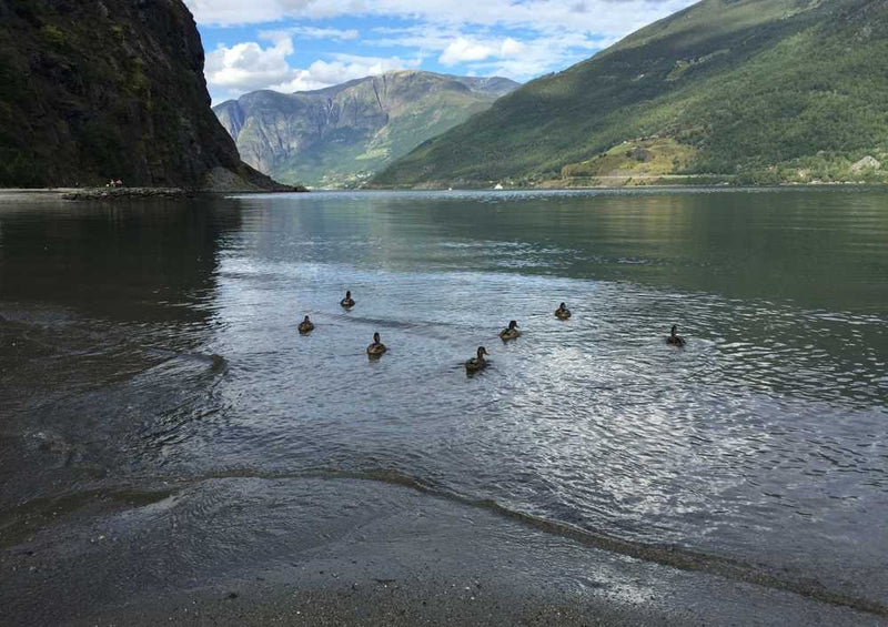 63298 Natur - Norwegen Puzzle