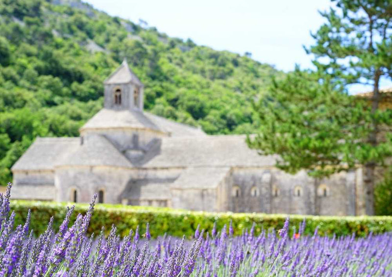 63607 Natur - Lavendel