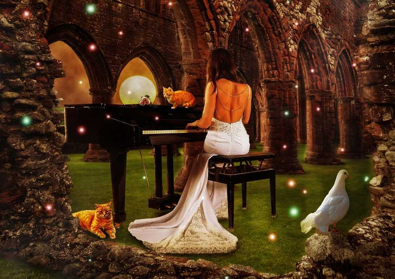 49709 Musik - Kunst Puzzle