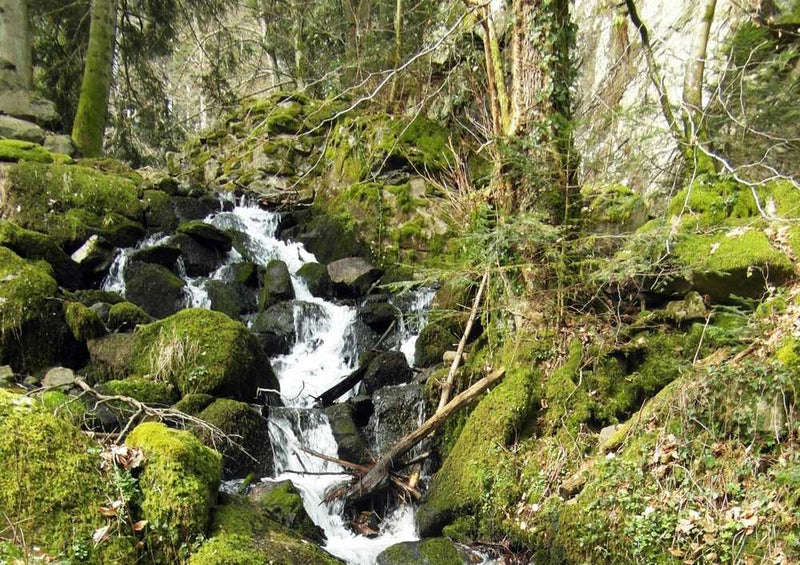 46776 Natur - Wasserfall Puzzle