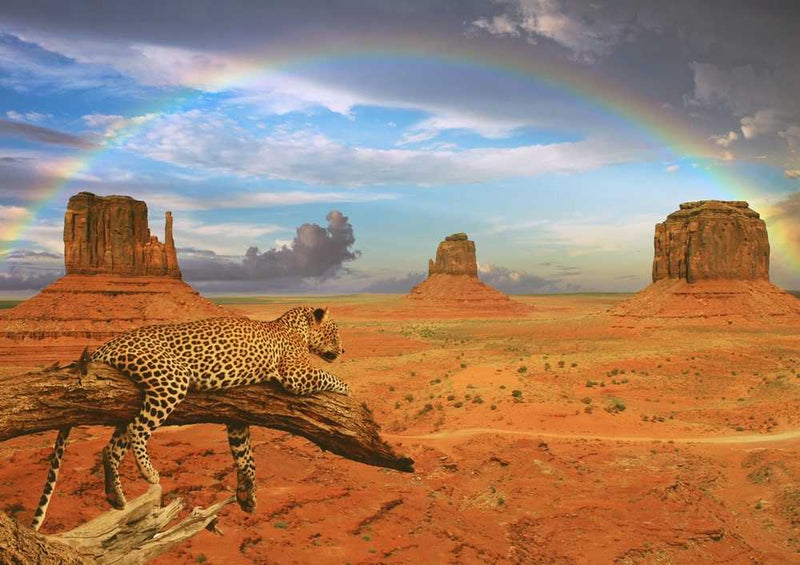 59765 Natur - Wüste Puzzle