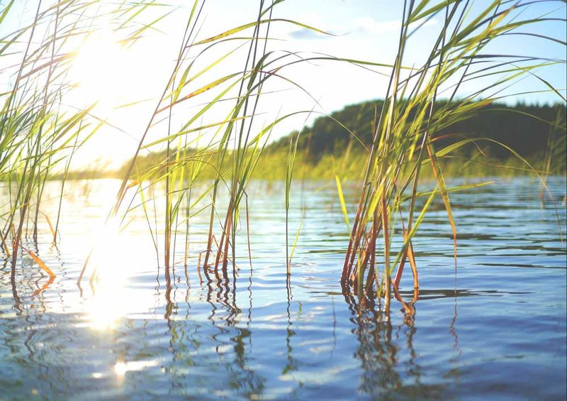 50627 Natur - Sonnenaufgang Puzzle
