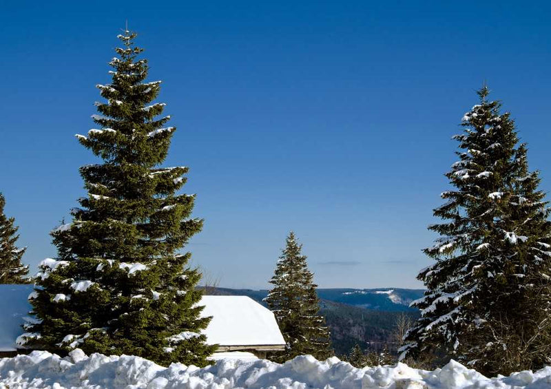 48050 Natur - Schnee Puzzle