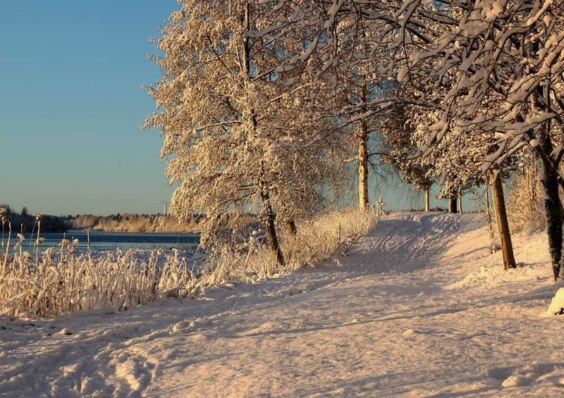 50676 Natur - Winter Puzzle