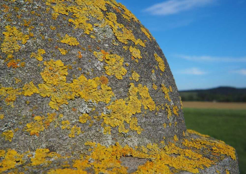 66666 Hintergründe - Nahaufnahme Puzzle