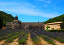 63482 Religion - Abbaye de Sénanque