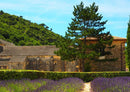 63391 Natur - Abbaye de Sénanque Puzzle
