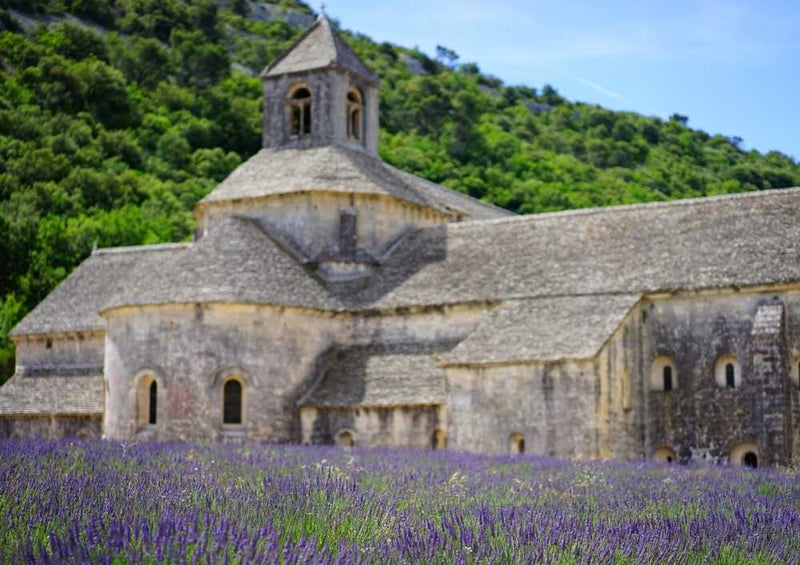 63715 Natur - Lavendel