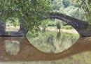 67837 Natur - Brücke