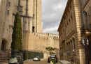 51471 Reisen - Avignon Puzzle