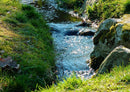 46659 Natur - Bach Puzzle