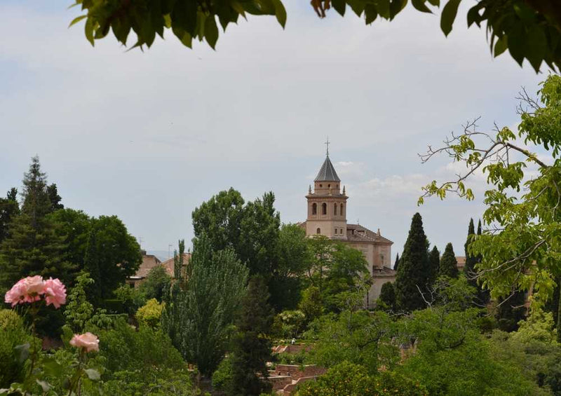 63847 Natur - Alhambra