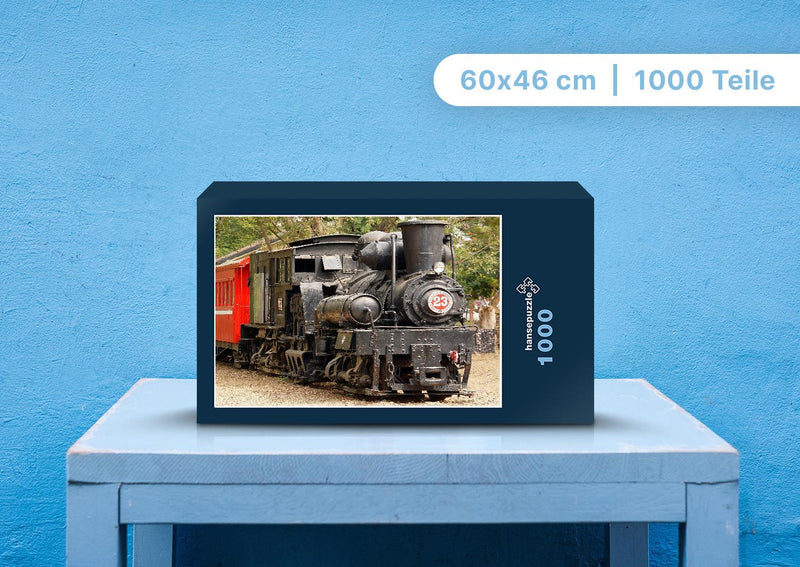 100928 Fortbewegung - Lokomotive