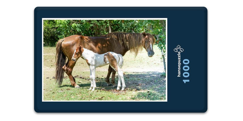 11931 Tierwelt - Pferd und Fohlen