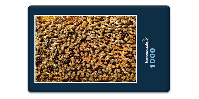 15442 Ernährung - Bienen-Honig