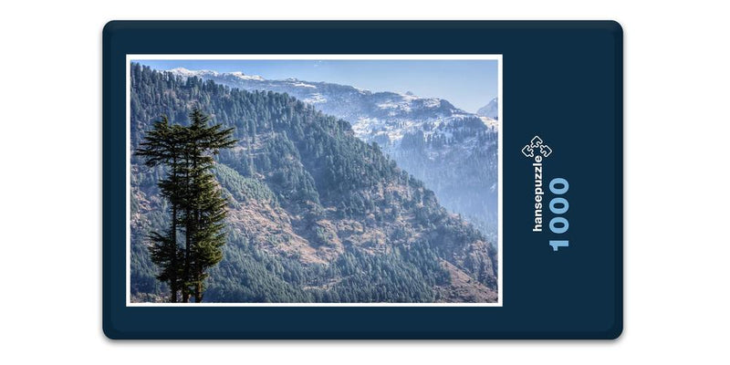 10840 Natur - Himalaya