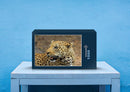 77185 Natur - Leopard