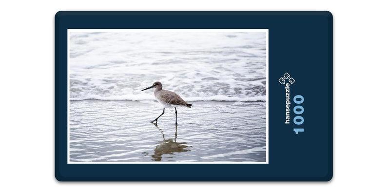 10616 Tierwelt - Vogel am Strand