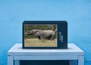 86720 Tierwelt - Elefant