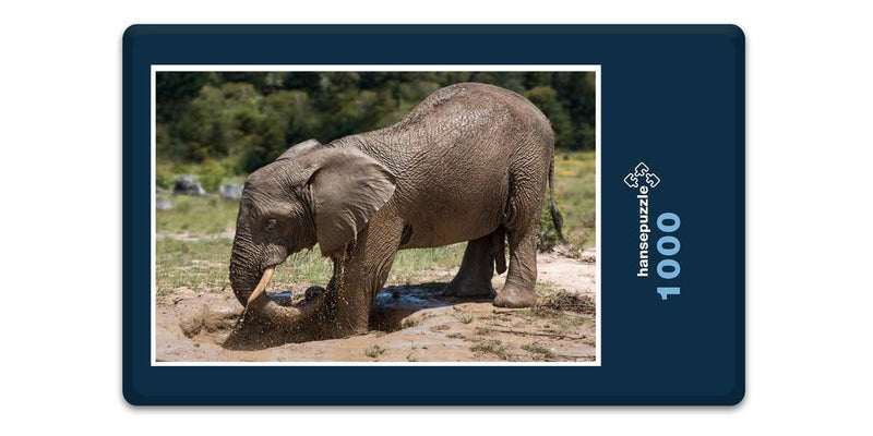 10796 Reisen - Elefant