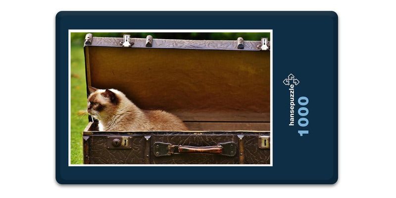 16670 Tierwelt - Katze im Koffer