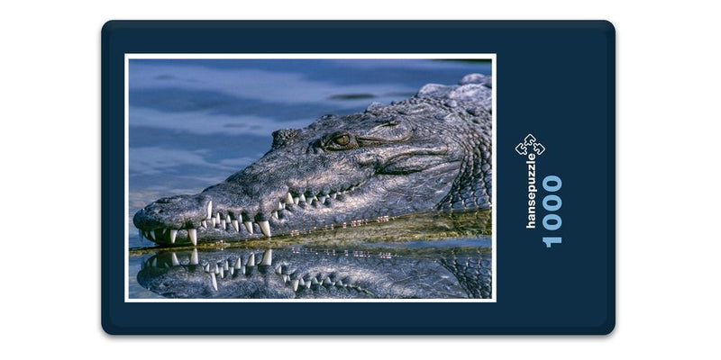 16538 Tierwelt - Krokodil