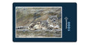 12248 Tierwelt - Schnee-Leopard