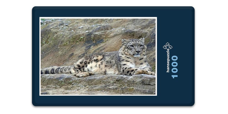 12248 Tierwelt - Schnee-Leopard