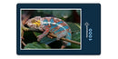 14026 Tierwelt - Chamäleon