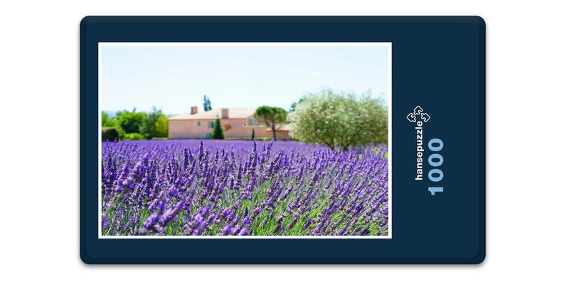 16366 Natur - Lavendel