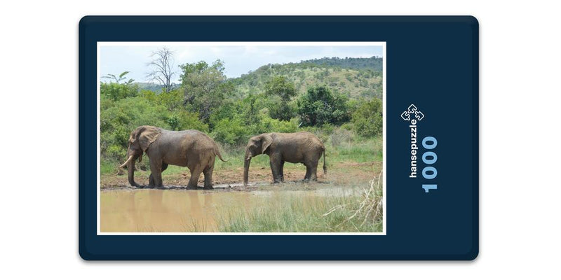 10375 Natur - Elefant