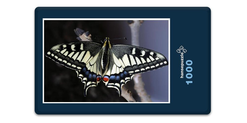 16554 Tierwelt - Schmetterling