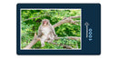 15894 Tierwelt - Affe im Baum
