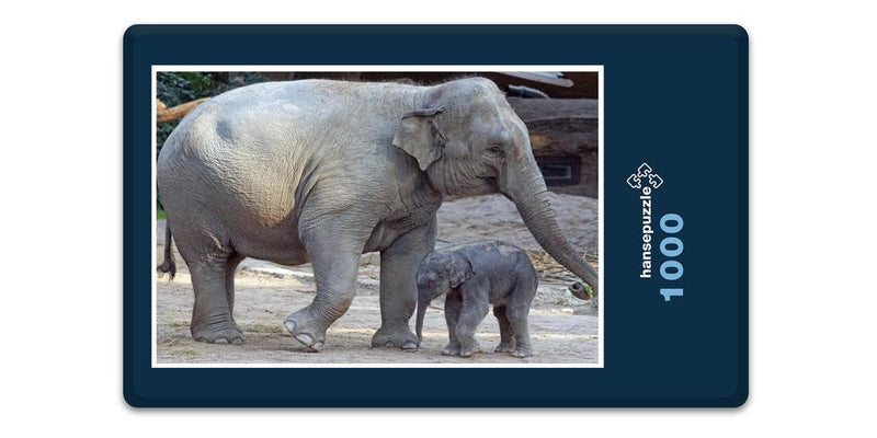 12207 Tierwelt - Elefant mit Baby