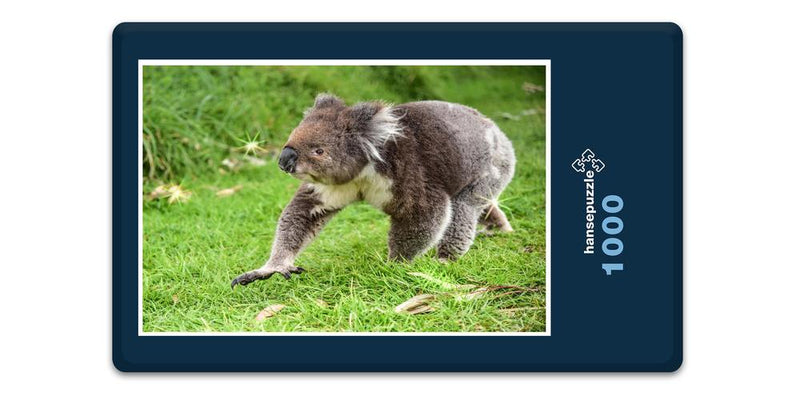 16310 Tierwelt - Koala-Bär