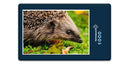 16530 Tierwelt - Igel