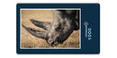 10291 Natur - Nashorn