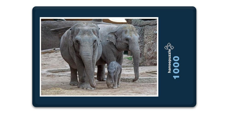12276 Tierwelt - Elefanten-Familie