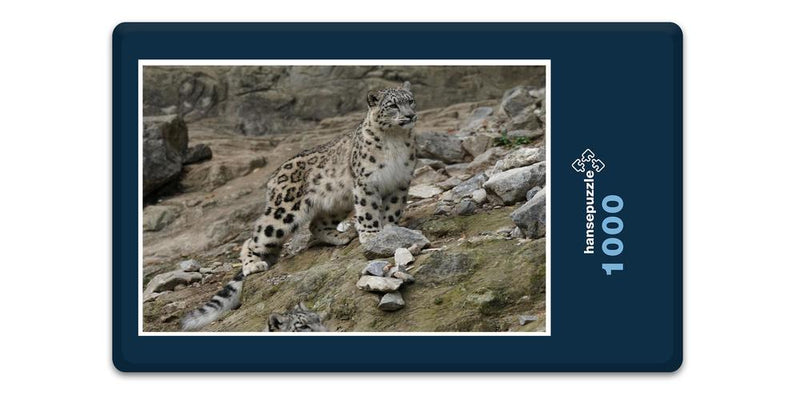 13602 Tierwelt - Schnee-Leopard