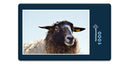16262 Tierwelt - Schaf
