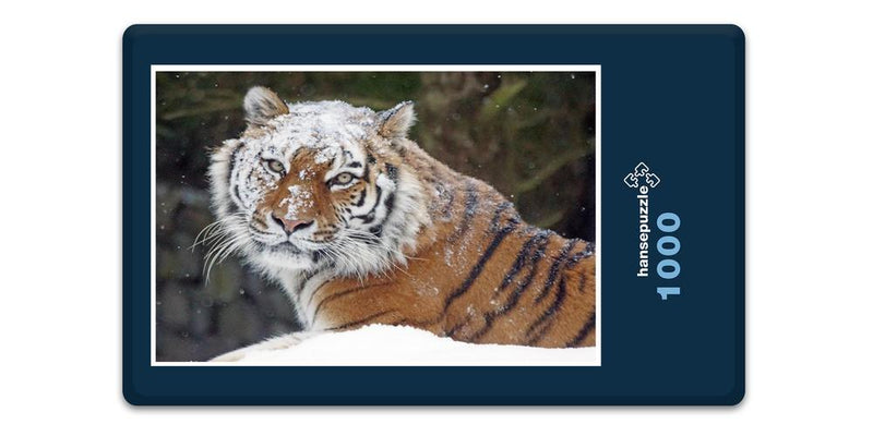 12224 Tierwelt - Schnee-Tiger