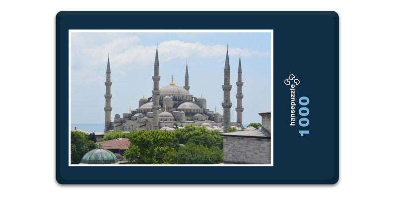 11100 Reisen - Blaue Moschee