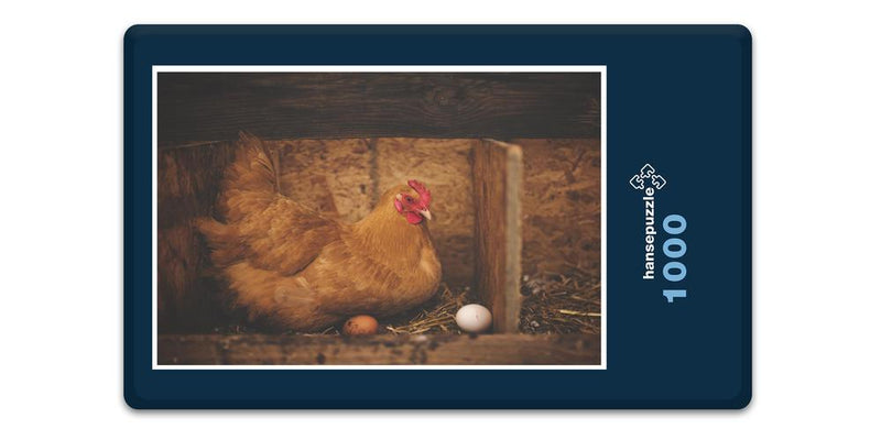 19025 Tierwelt - Henne mit Ei